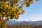 Goli Vrh - Panoramic view of the mountain chains of the Dinaric Alps seen from Goli Vrh near Budva, Montenegro