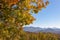 Goli Vrh - Panoramic view of the mountain chains of the Dinaric Alps seen from Goli Vrh near Budva, Montenegro