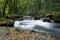 Golitha Falls Bodmin Moor