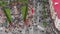 Gomel, Belarus - 05/09/2019: Crowd of people on a city festive street, top view, vertical flight over roofs of bright city houses