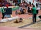 GOMEL, BELARUS - December 14, 2019: international athletics competitions in the framework of the sports festival