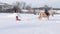 GOMEL, BELARUS - JANUARY 19, 2019: a rider on a horse rolls a child on a sled on a tubing