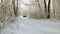 Gomel, Belarus - January 24, 2018: Car Renault Logan is riding on a snowy forest.