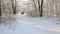 Gomel, Belarus - January 24, 2018: Car Renault Logan is riding on a snowy forest.