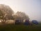 Gomel, Belarus - May 24, 2020: fishing on an early foggy morning boat on the water