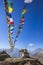 Gompa and Multicolored Buddhist flags in Muktinatn, Nepal