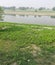 Gomti river bank in India