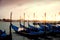 Gondola Boats in Venice, gull watching