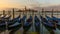 Gondolas moored in St. Mark`s Square. Dawn in Venice, Italy