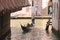 Gondolier sails with tourists sitting in a gondola down the narrow channel in Venice, Italy