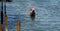 Gondolier with tourists guiding his boat through the canals Venice