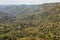 Gondwana rainforest in Tamborine National Park