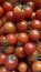 A good amount of red cherry tomatoes freshly picked from the garden