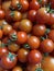 A good amount of red cherry tomatoes freshly picked from the garden