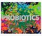 Good bacteria flora colon background. Probiotic, prebiotic, synbiotic, lactobacillus, bifidobacterium. Infographics