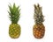 Good and bad piece of pinapple fruit