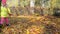 Good child girl with raker tool walk through garden covered with autumn leaves