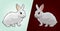 Good and Evil Rabbits