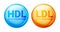 Good HDL and bad LDL cholesterol icon blood vessel density. Vector high cholesterol level