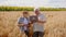 Good looking old couple farmers have a large wheat field they analysing the results of harvest from this year using the