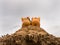 Good luck Bulls on Peruvian countryside farm entrance