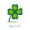 Good luck clover leaf with ladybug on white background