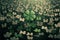 Good luck fourleaf clover standing out from a field, creative digital illustration