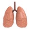Good lungs