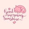 Good Morning Sunshine hand lettering.Vector cute illustration with cartoon symbols cat,star and heart for posters,cards.