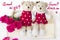 Good night sweet dream message card handwriting with couple teddy bears, red rose flowers