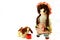 Good Puppy, here is your dinner. Vintage girl rag doll with her puppy; presented on a plain white background.