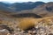 Good scenery of mountain landscape, Turkish. Alp vegetation. Tundra