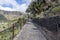 Good stone road with palm trees on the island of Tenerife