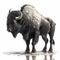 Good View Buffalo Illustration. Generative AI