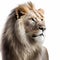 Good View Lion Illustration. Generative AI