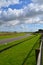 Goodwood motor racing circuit.