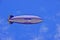 Goodyear Blimp Spirit of America in Flight