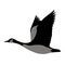 Goose canadian, .vector illustration, flat style ,profile