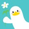 Goose Duck face head in the corner. White bird holding daisy chamomile flower. Cute cartoon kawaii funny character. Flat design.