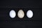 Goose egg and chicken eggs on a black wooden background. The difference in the size of eggs of various birds