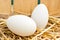 Goose eggs