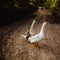 Goose Family Walking in Natural Rice Field