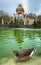 Goose in the fountain pond in Ciutadella Park, Barcelona, Spain.