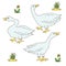 Goose gander farm birds icons vector set
