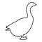 Goose Gosling Geese Anser Gander contour outline black color vector illustration flat style image