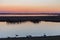 Goose and goslings silhouetted against sunset