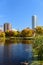 Goose on the Lake at Loring Park, Minneapolis, Minnesota