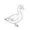 Goose line drawing. Minimalistic style for logo, icons, emblems, template, badges. Isolated on white background.