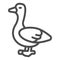 Goose line icon, domestic animals concept, poultry bird sign on white background, silhouette of a goose icon in outline