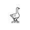 goose line illustration icon on white background